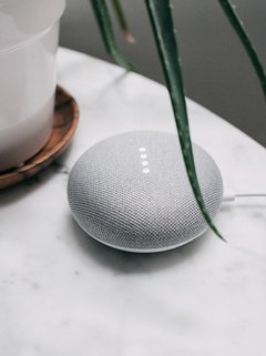 Google Home Mini