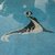 murvi foca en venecita para fondo de piscina figuras mosaiquismo en granite funes rosario.jpg