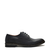 Zapato Frank (466900)