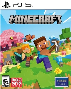 Minecraft Starter Pack