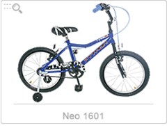 Bicicleta Python Neo R16