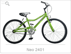 Bicicleta Python Neo R24
