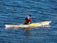 Pértiga Liviana Desarmable para Kayak D26x28 x L1350 mm en internet