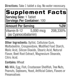 Vitamina B-12 Natrol 5.000mcg - 100 cápsulas na internet