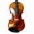 Violino Eagle VK 644 - Ajustado por Luthier - comprar online