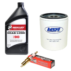 Kit Service Evinrude E-tec 115-130hp Aceite Alternativo