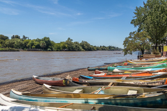 Canoas en el Tigre