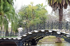 El Rosedal de Palermo, Buenos Aires I