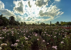 Parque El Rosedal