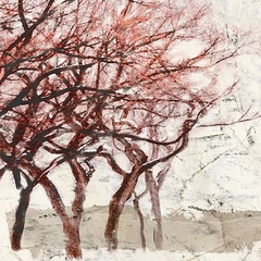 ALESSIO ABRIL - Rusty Trees I - 1AI4746