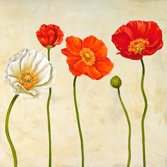 CYNTHIA ANN - Coquelicots (detail) - 1AN1211