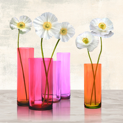 CYNTHIA ANN - Poppies in crystal vases (Purple I) - 1AN4584