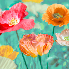 CYNTHIA ANN - Poppies in Bloom II - 1AN4676