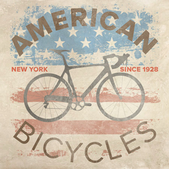 SKIP TELLER - American Bikes - 1CU2888