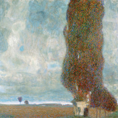 GUSTAV KLIMT - Álamos - 1GK3026