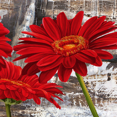 JENNY THOMLINSON - Red Gerberas II - 1JT1452