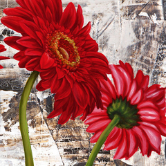 JENNY THOMLINSON - Red Gerberas III - 1JT1453