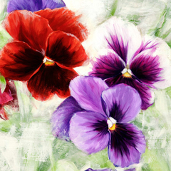 JENNY THOMLINSON - Pansies I - 1JT2529