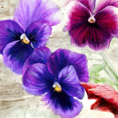 JENNY THOMLINSON - Pansies II - 1JT2530 - comprar online