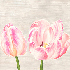 JENNY THOMLINSON - Classic Tulips I - 1JT4931