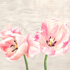 JENNY THOMLINSON - Classic Tulips II - 1JT4932 - comprar online