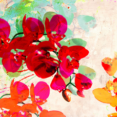 KELLY PARR - Orchidreams (detail) - 1KP4696