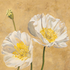 LUCA VILLA - Poppies on Gold I - 1LC4506