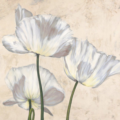 LUCA VILLA - Poppies in White II - 1LC4509