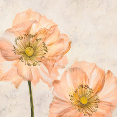 LUCA VILLA - Poppies in Pink I - 1LC4510