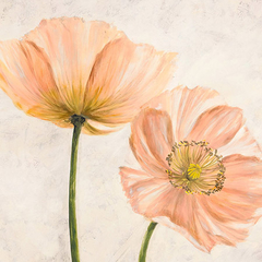 LUCA VILLA - Poppies in Pink II - 1LC4511