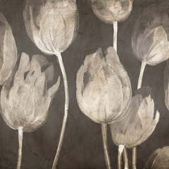 LUCA VILLA - Washed Tulips I - 1LC5519