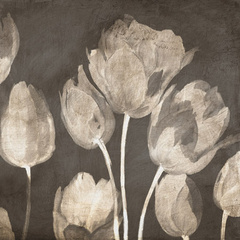 LUCA VILLA - Washed Tulips I - 1LC5520