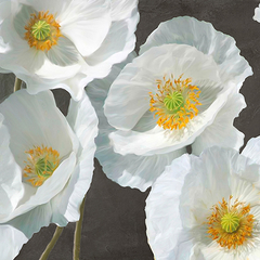 LEONARDO SANNA - Poppies on Chalkboard I - 1LN4898