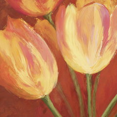 SILVIA MEI - Orange Tulips (detail) - 1SM1360