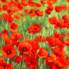 SILVIA MEI - Poppies - 1SM2378