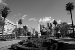 Plaza de Mayo, Buenos Aires (BW)