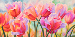 CYNTHIA ANN - Tulips in Wonderland - 2AN3716