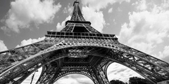 The Eiffel Tower in spring - 2AP1648
