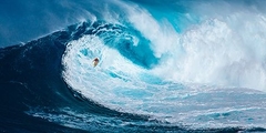 Surfing the big wave, Tasmania (detail) - 2AP4871