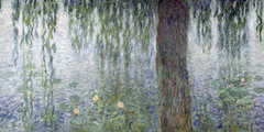 CLAUDE MONET -Morning with Weeping Willows II (detail) - 2CM017