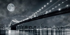 JANIS LACIS - Brooklyn Bridge at - 2DL248