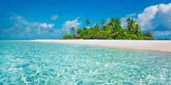 FRANK KRAHMER - Palm island, Maldives - 2FK3137