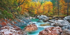 FRANK KRAHMER - Mountain brook and rocks, Carinthia, Austria - 2FK3139