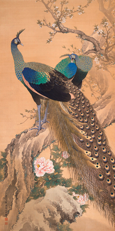 IMAO KEINEN A Pair of Peacocks in Spring - 2JP4652