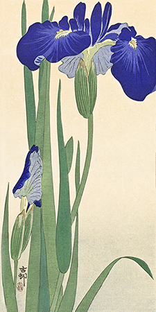 OHARA KOSON - Irises - 2JP5032