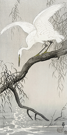 OHARA KOSON - White heron on tree branch - 2JP5033