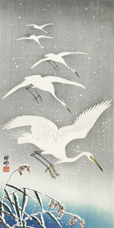 OHARA KOSON - Descending egrets in snow - 2JP5688