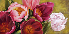 JENNY THOMLINSON - My Tulips - 2JT505