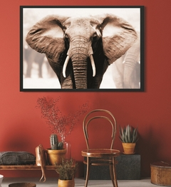 Elefante africano - 3AP2049 - comprar online
