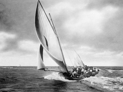 Velero en el puerto de Sydney - 3AP3216